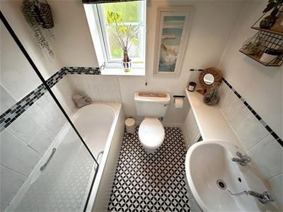Picture 14